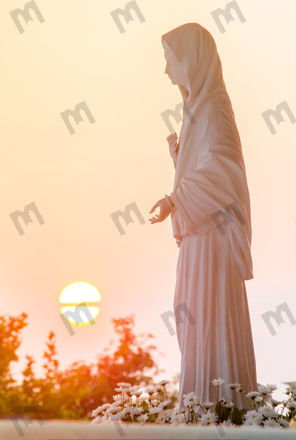 Picture of Statue of Our Lady - Stock Image for Download