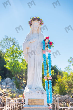 Picture of Our Lady of the Holy Rosary - Stock image for download
