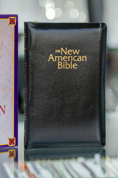 Imagen de The New American Bible