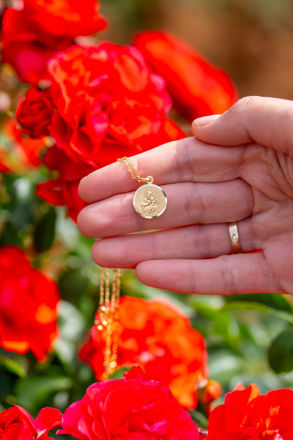 Picture of Gold Scapular Medal